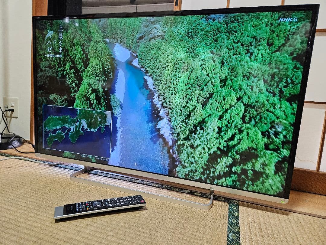 インテリジェンス高画質REGZA42型