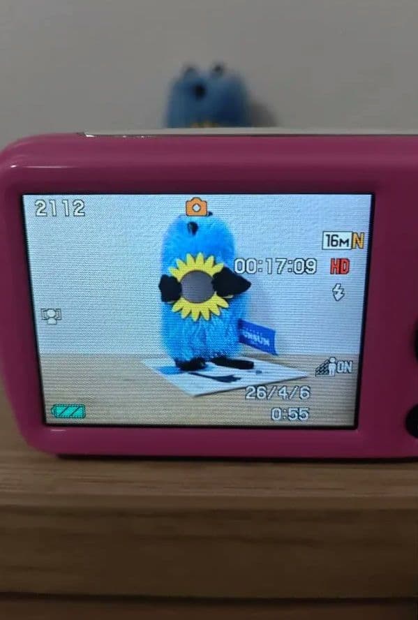 【美品】【動作確認済】CASIO EXILIM EX-N1 ピンク