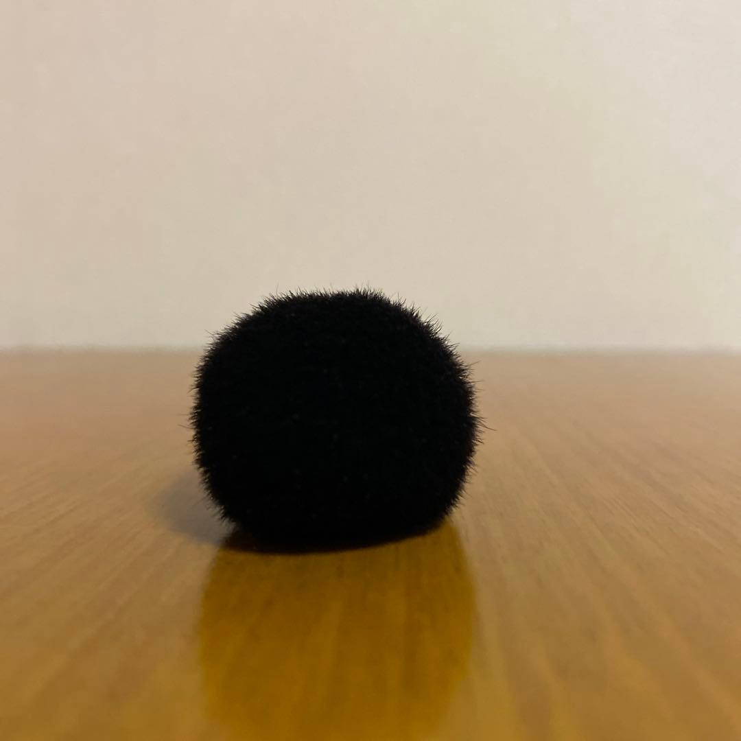 BISYODO フェイスブラシ 木製ハンドル