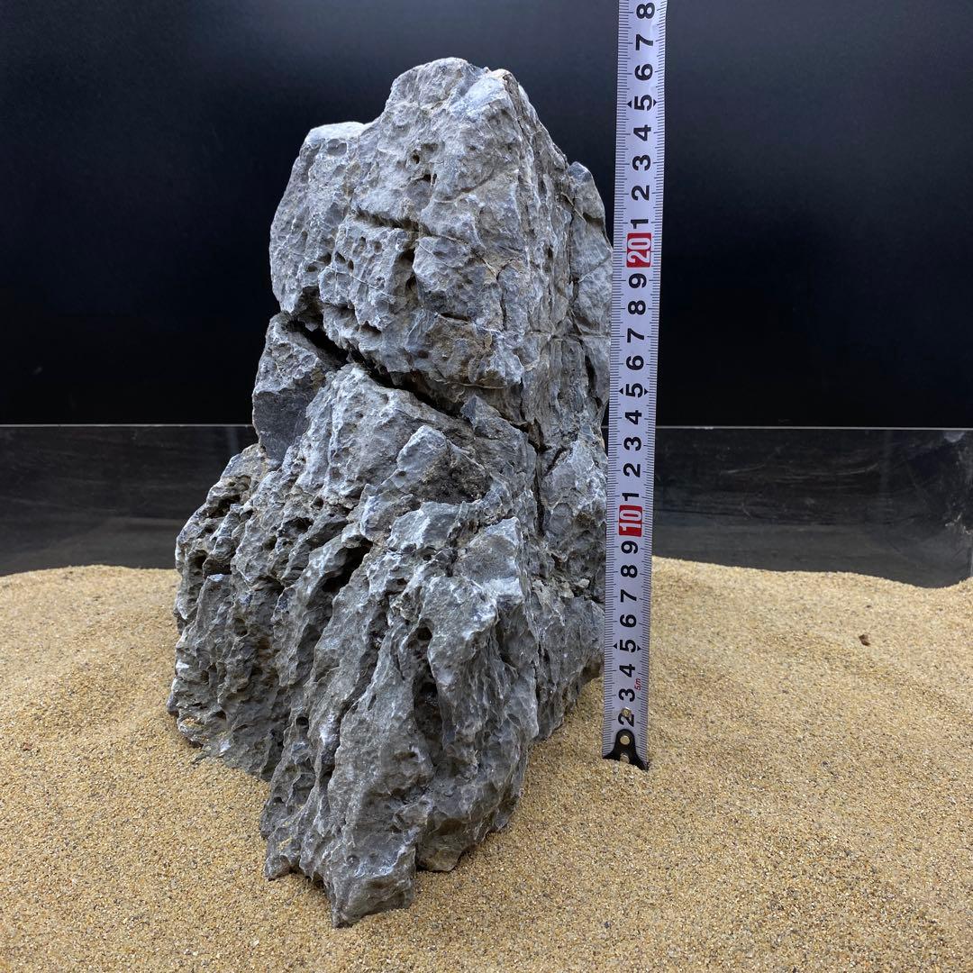 MSS-6290 青龍石33cm親石　龍王石　竜王石