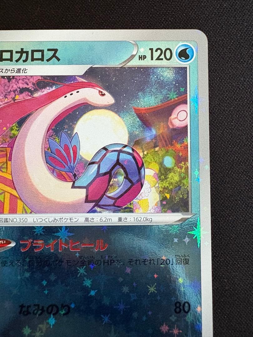ミロカロス：「スペシャルBOX ポケモンセンターカナザワオープン記念」 PRO…