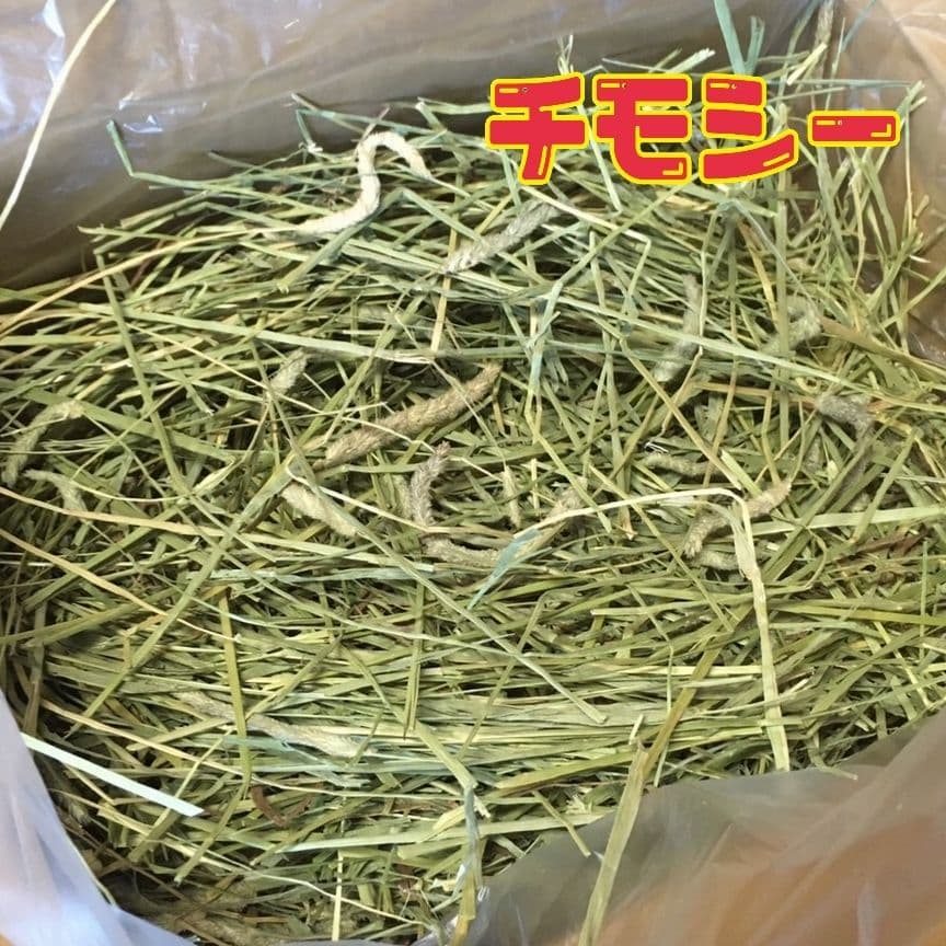 ♪cocomoruru♪　チモシー20kg