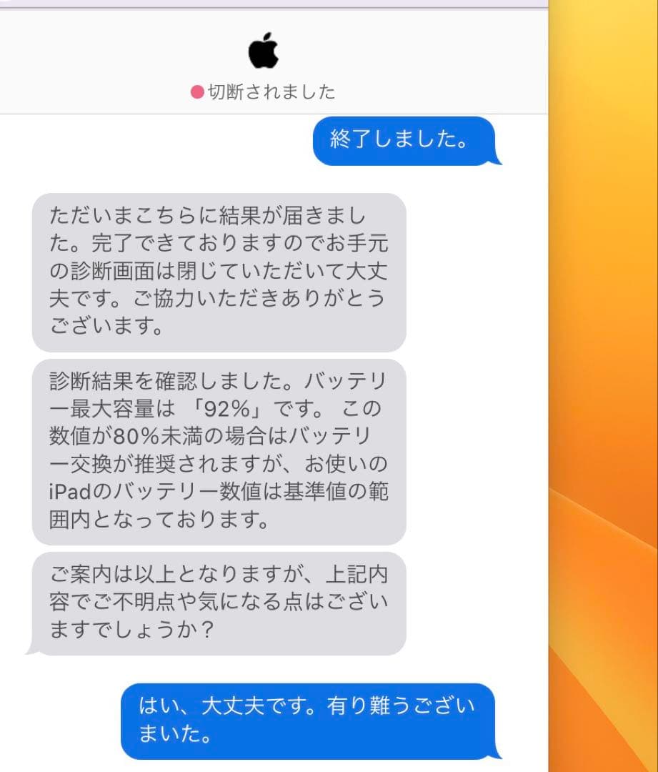 Apple iPad mini 第5世代256GBバッテリー92%
