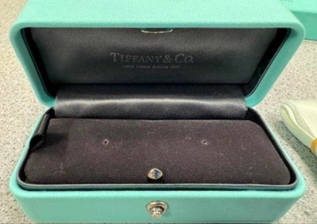 現行品　Tiffanyティファニー　ピアスケース　セット