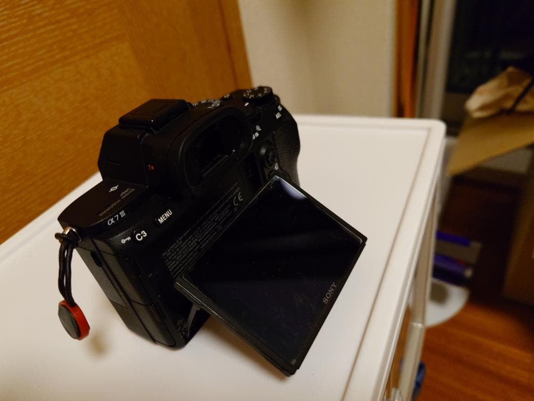 SONY α7 III 本体 ILCE-7M3 9253回 オマケ付