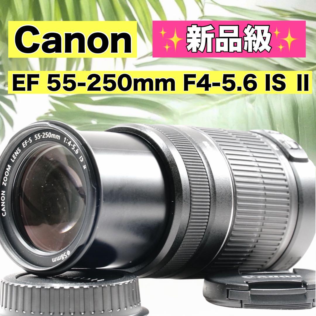 ✨新品級✨Canon EFS 55-250mm F4-5.6 IS Ⅱ ズーム