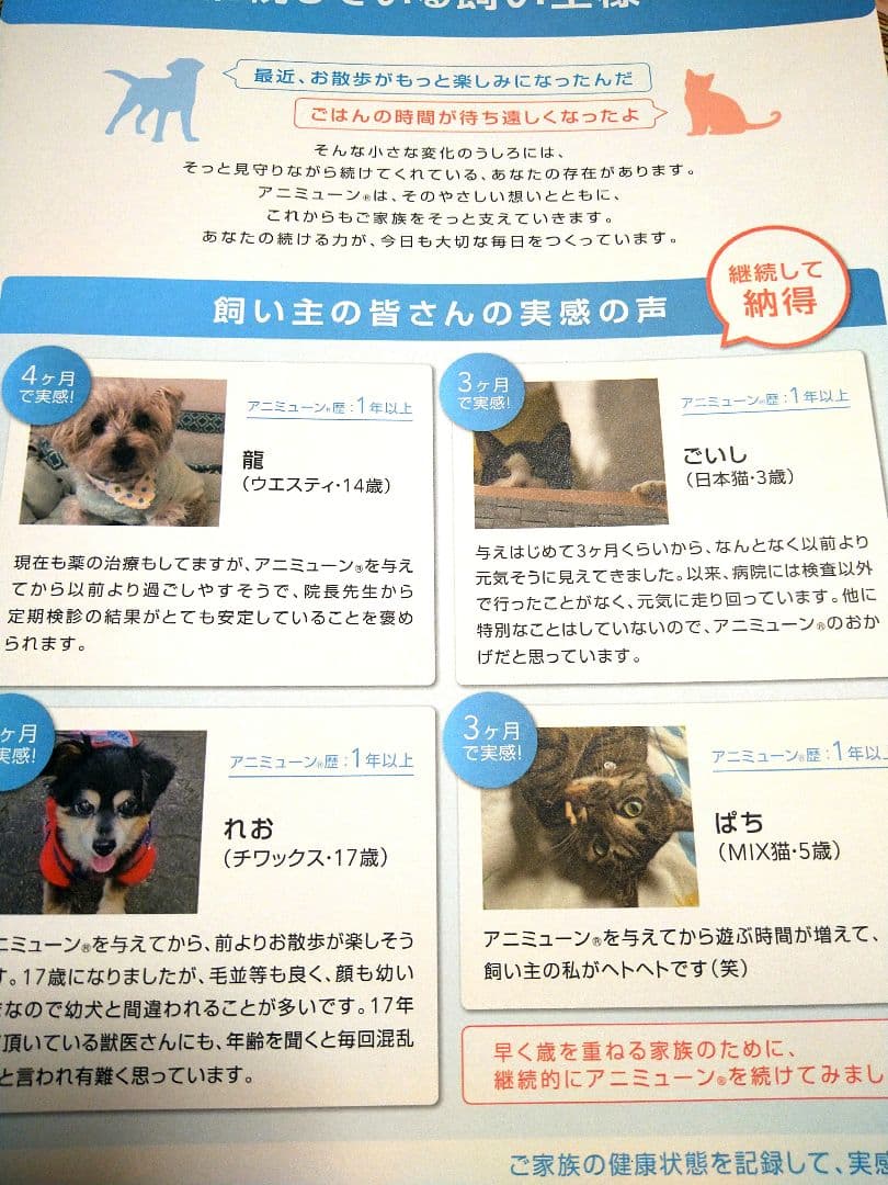 アニミューン 犬猫用サプリメント 14ｇ【新品未使用】