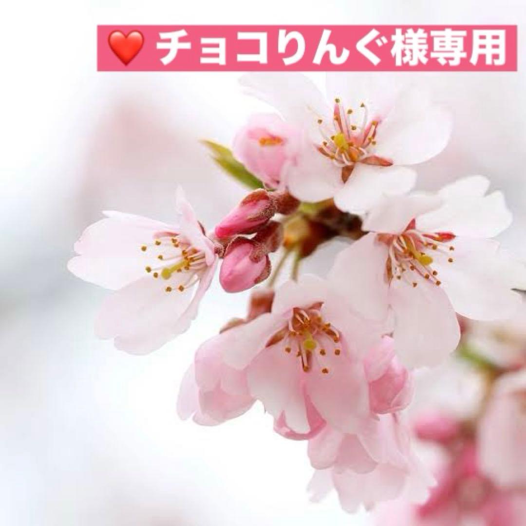 アンファティ　カラーIF ファンデ　新箱　計3 色数自由