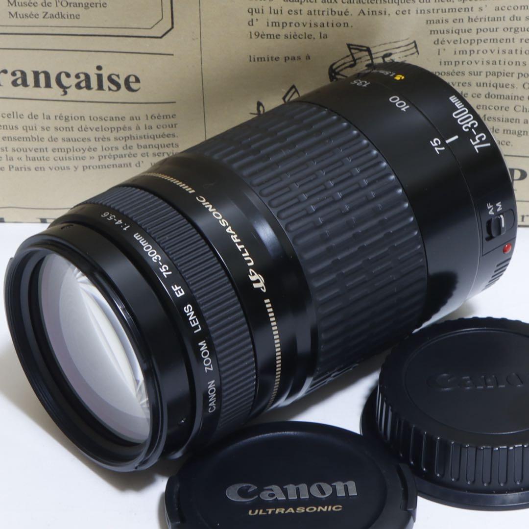 ◇超望遠&高速AF◇ Canon純正 75-300mm I型望遠レンズ◇