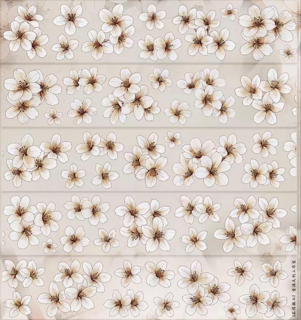 PET 花信微白 ダイカット加工 5cm×5m 海外マスキングテープ