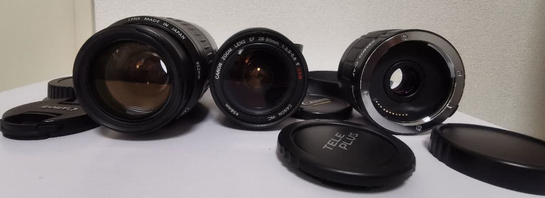 2X TELEPLUS 300 +28-80mm，55-200mmレンズ