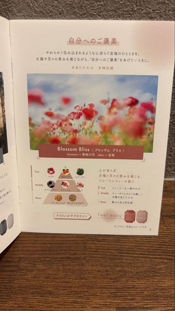 トリートメント PJOLI feel easy treatment 1000ml
