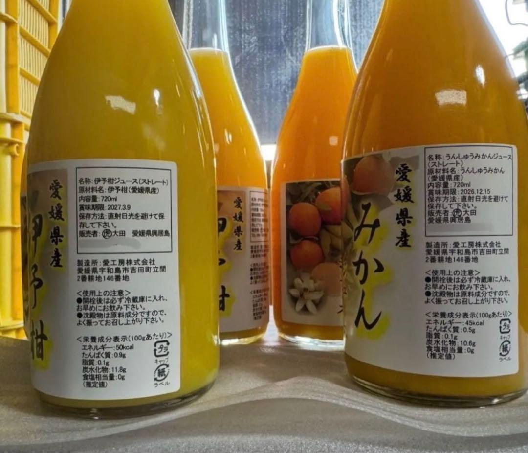 柑橘ストレートジュース100 伊予柑 愛媛県産 みかん