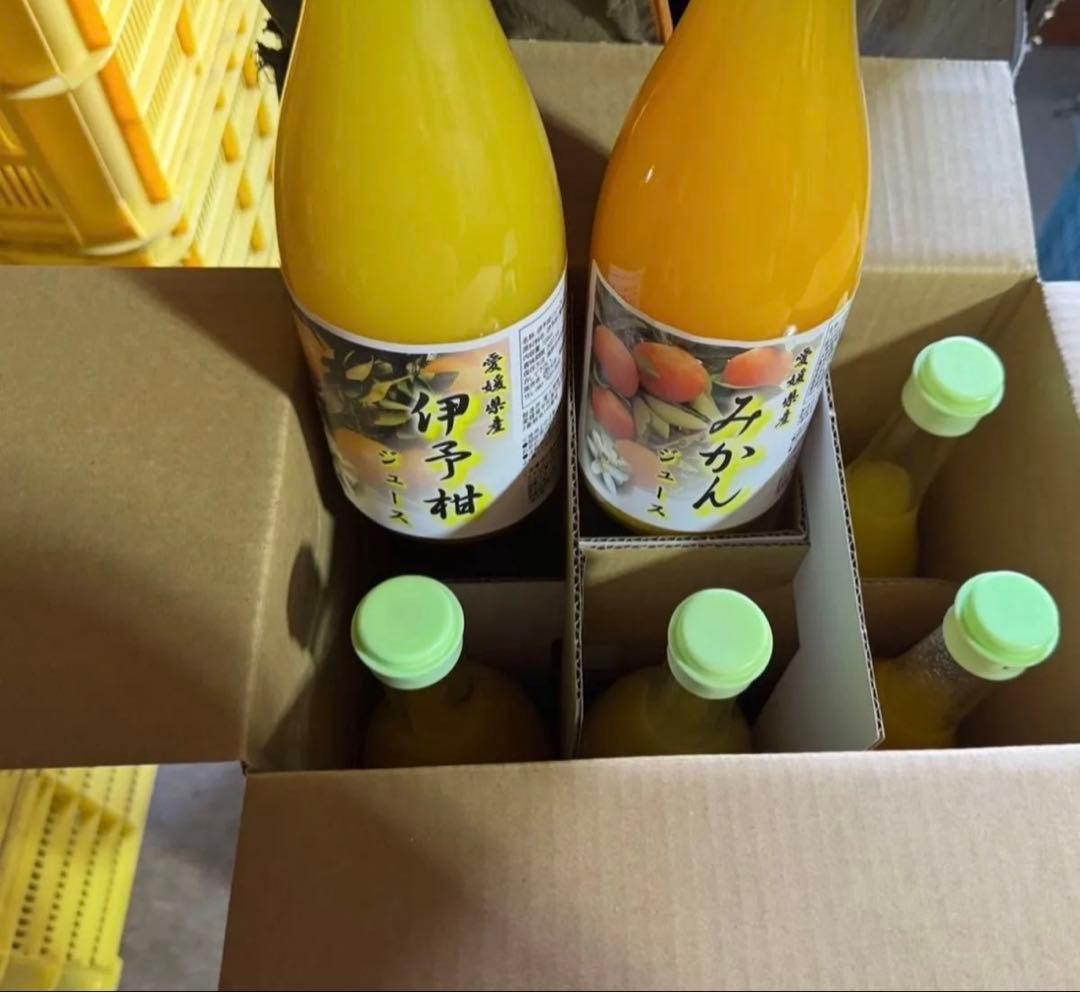 柑橘ストレートジュース100 伊予柑 愛媛県産 みかん
