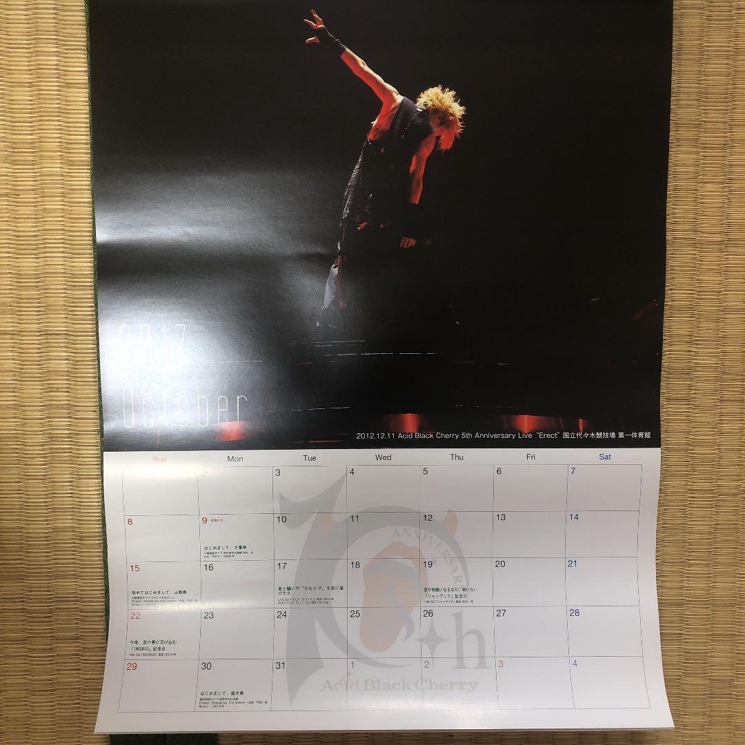 Acid Black Cherry 10th anniversary カレンダー
