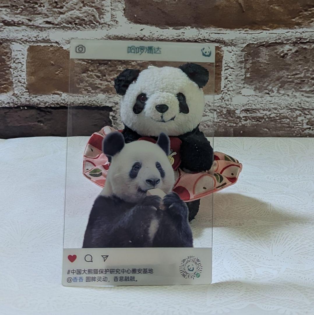 シャンシャンBirthday♡グッズ・コスチュームお買い上げの方へのプレゼント☆