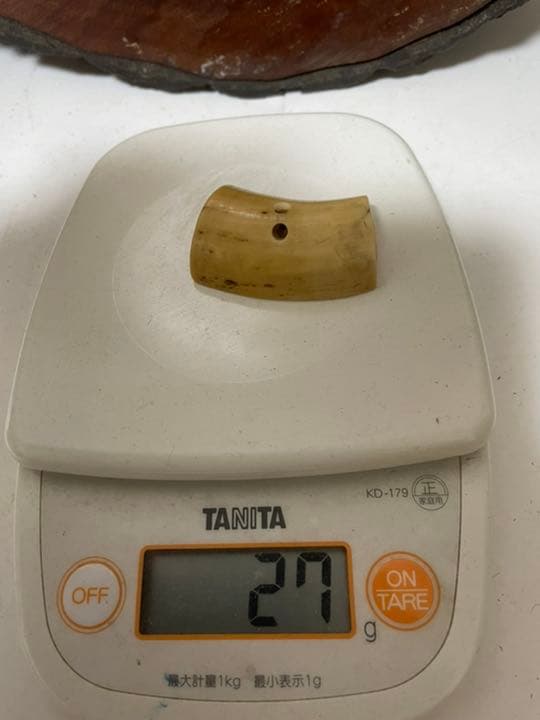 マッコウクジラ 本鯨歯　根付　時代