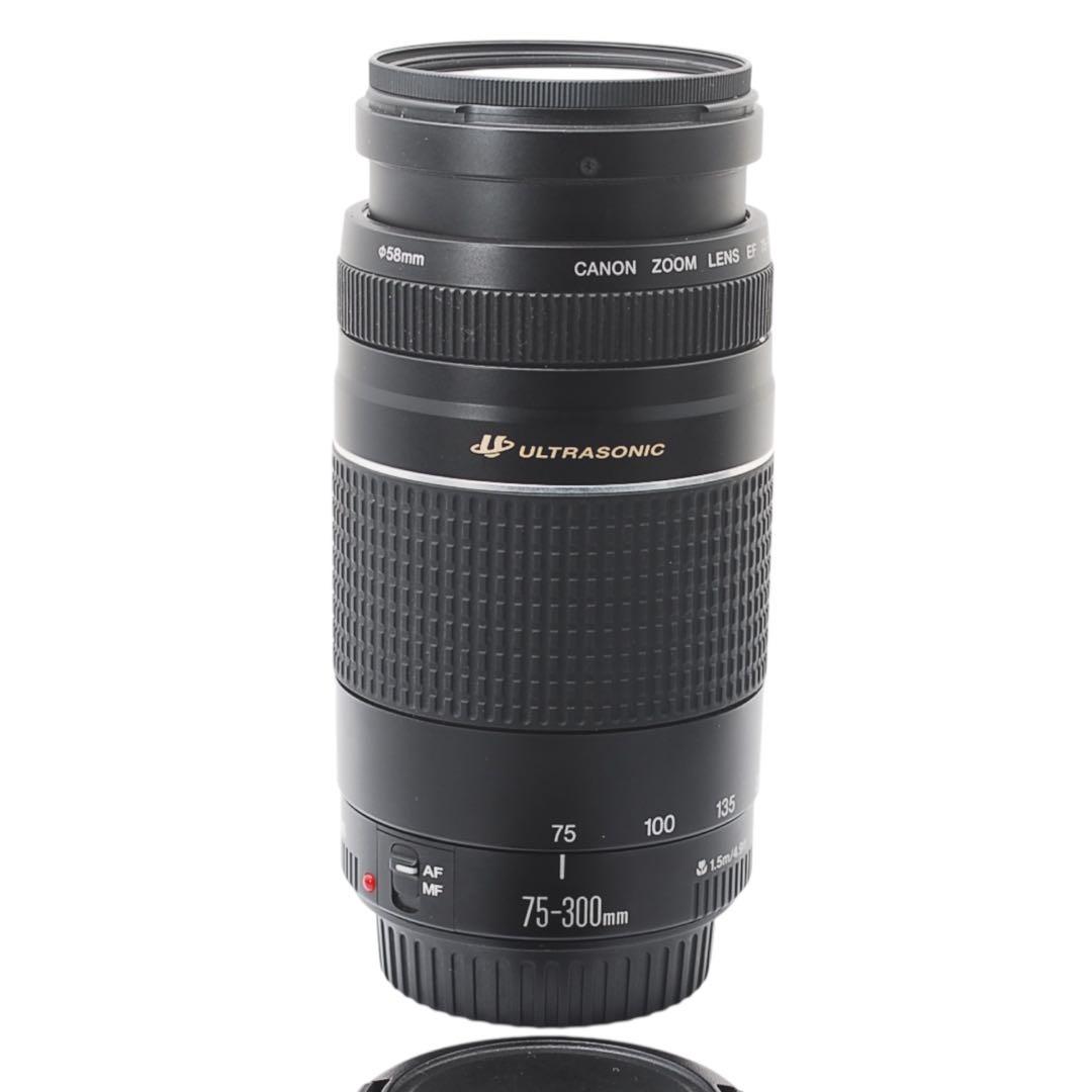 Canon EOS 40D ダブルレンズ 望遠300mm バッグ 美品