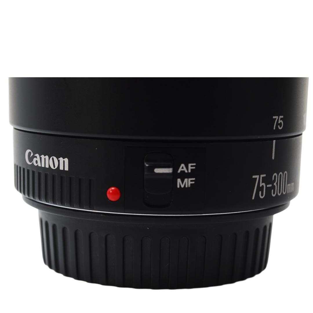 Canon EOS 40D ダブルレンズ 望遠300mm バッグ 美品