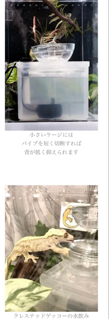 レビルウォーターサーバー プラス 爬虫類水飲み フォグジェネレータ 加湿 ミスト
