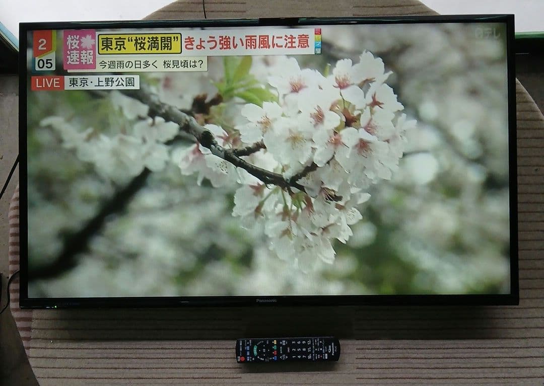 43型 液晶テレビ Panasonic VIERA TH-43D305HT 62