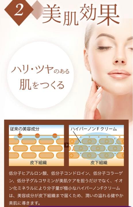 【正規品】ハイパーノンFクリーム 12個 750g ワム 痩身 wamu