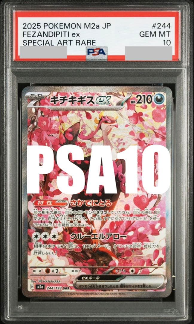 【PSA10】キチキギスex SAR 244/193 M2a MEGAドリーム