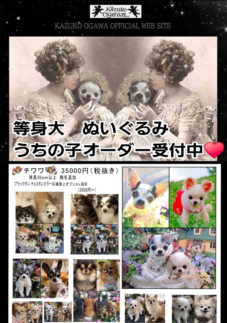 うちの子オーダー受付中♥️ チワワ　リアル　実物大　ぬいぐるみ　カズコオガワ