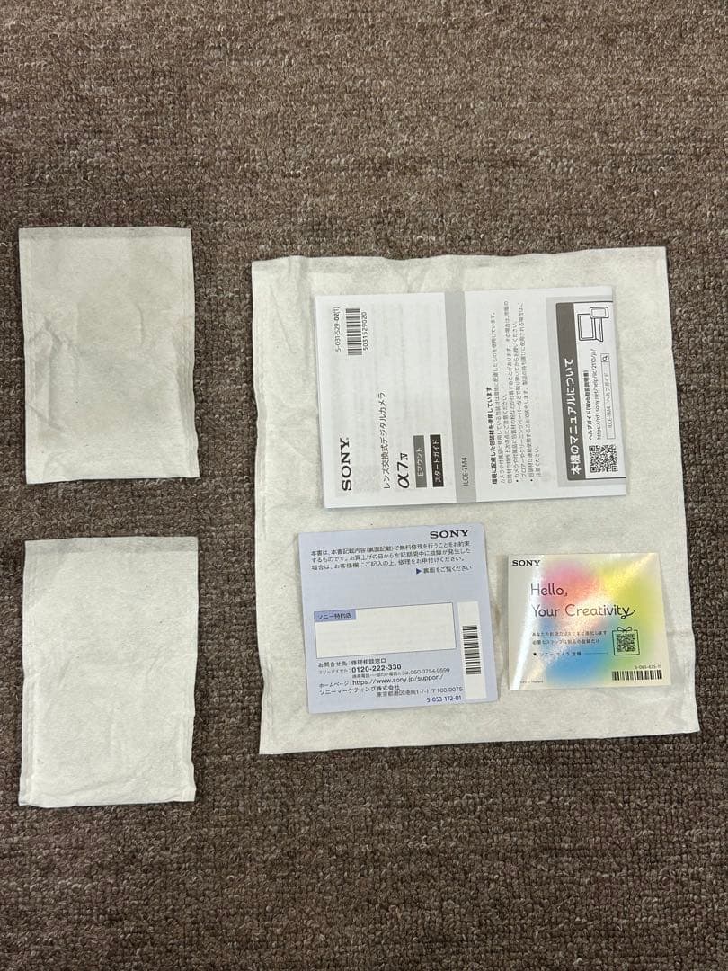 《11月購入》SONY α7IV