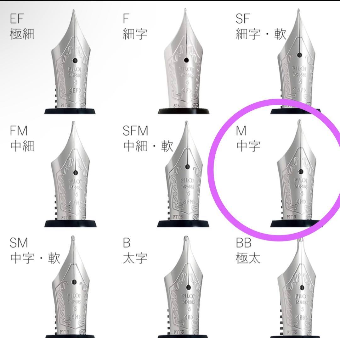【新品未使用品】万年筆PILOT パイロット カスタムヘリテイジ91 中字M