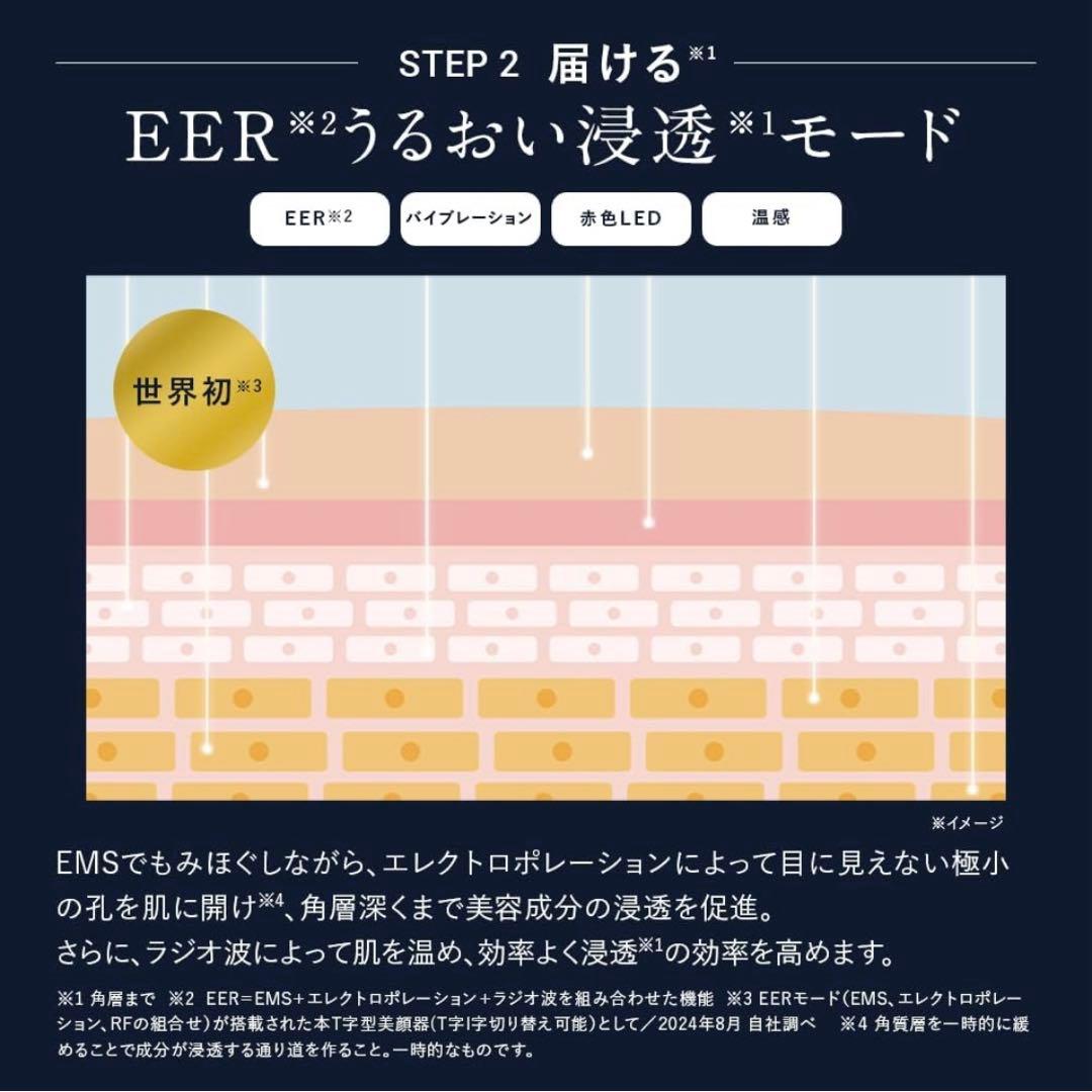 DISM ディズム EMS EER