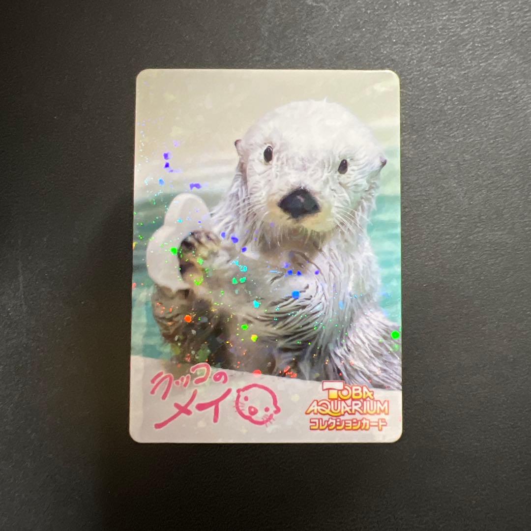 美品 鳥羽水族館コレクションカードvol.2 ラッコ メイ レア