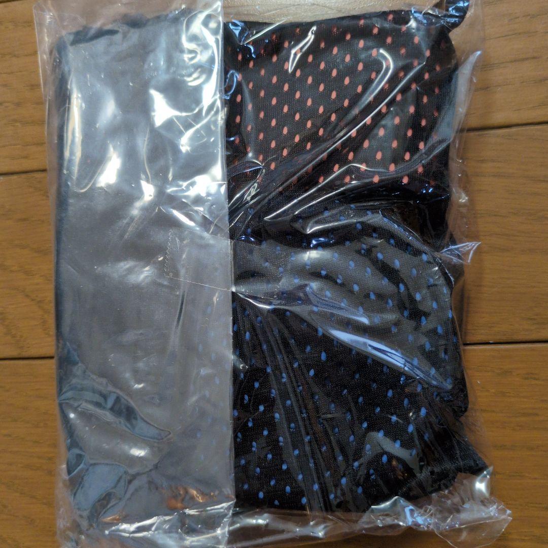 値下げ　Body Control Band II