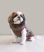 【新品】スノーピーク  peak Dog Down Jacket