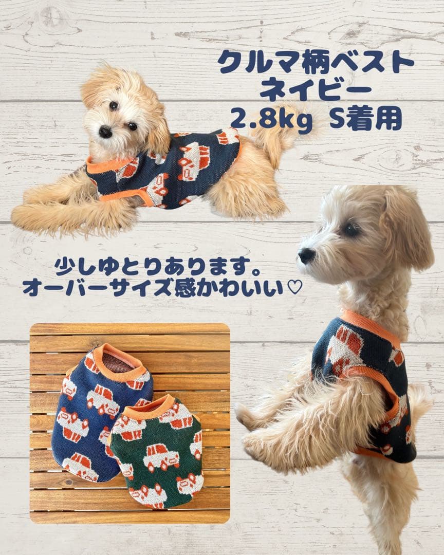JINちゃんネル