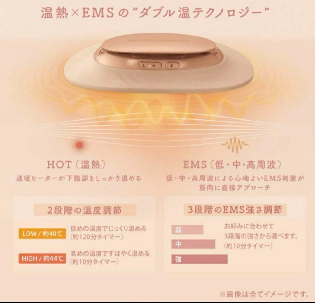 ルルドボーテ フェムオンテック 温プレートEMS AX-FRL914