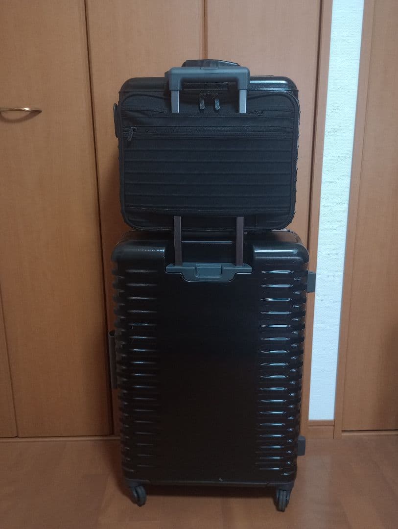 【激レア・美品】Rimowa Salsa Deluxe Travel Bag