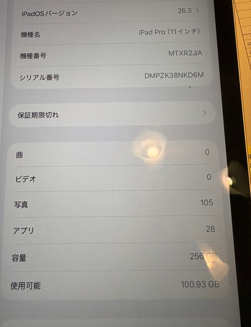 iPad Pro 11インチ 第1世代 Applepencil 256GB