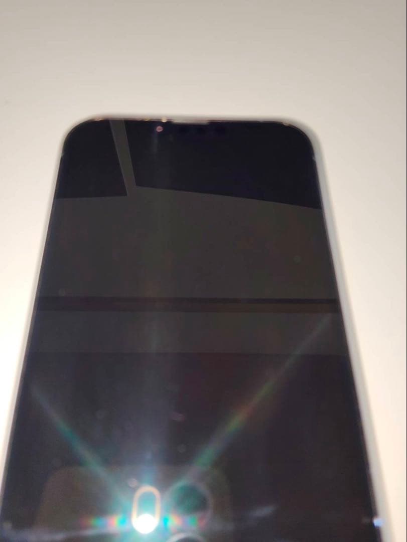 iPhone 13ProMax 256GB シエラブルー