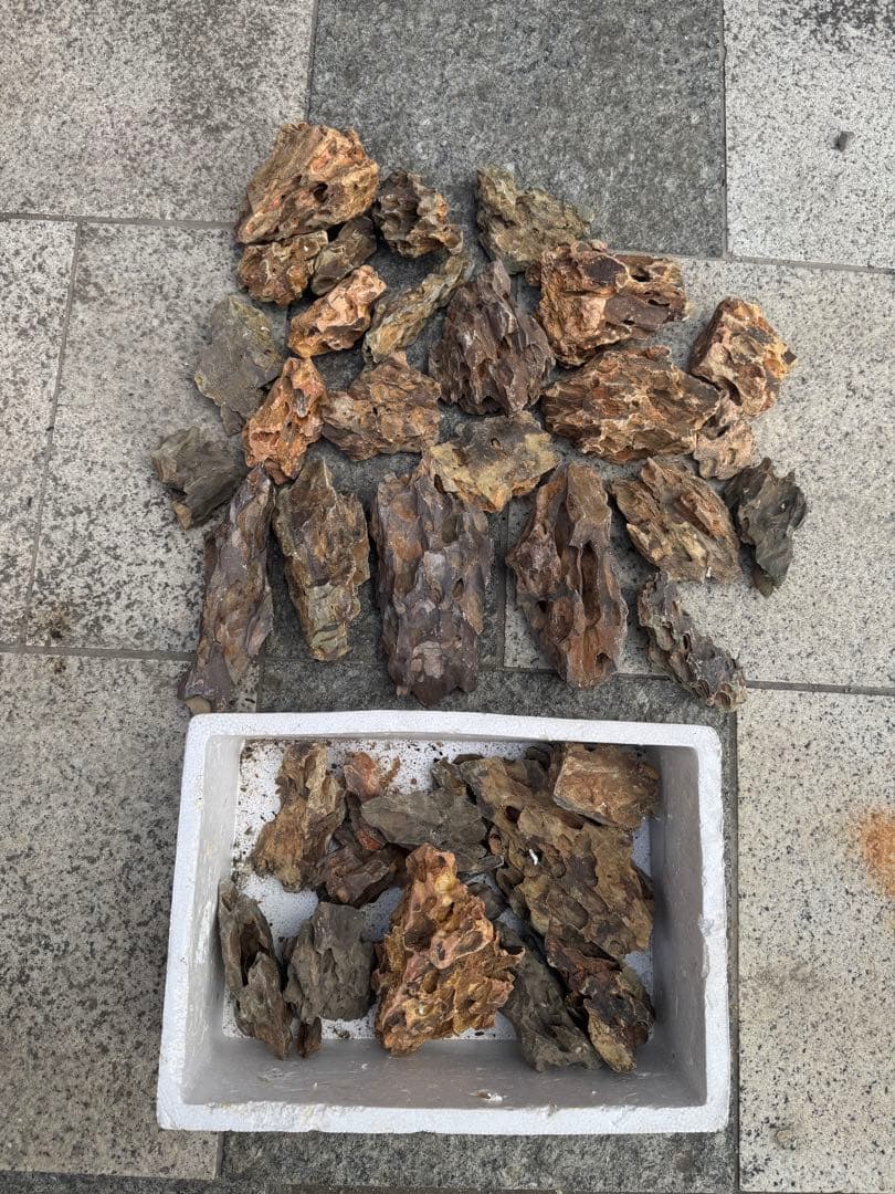気孔石 水槽用レイアウト石 複数個セット