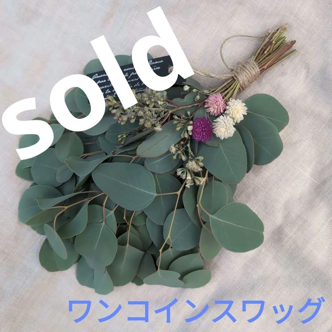 メル86631様ご相談中　ユーカリの500円スワッグ　千日紅を添えて