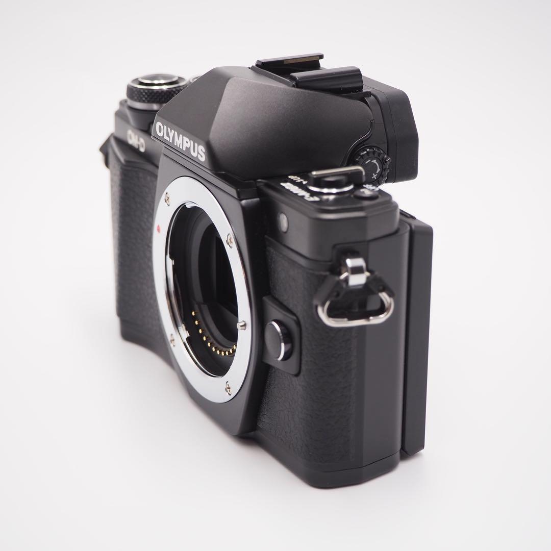 Olympus E-M10 MarkII ミラーレス一眼 レンズキット 美品