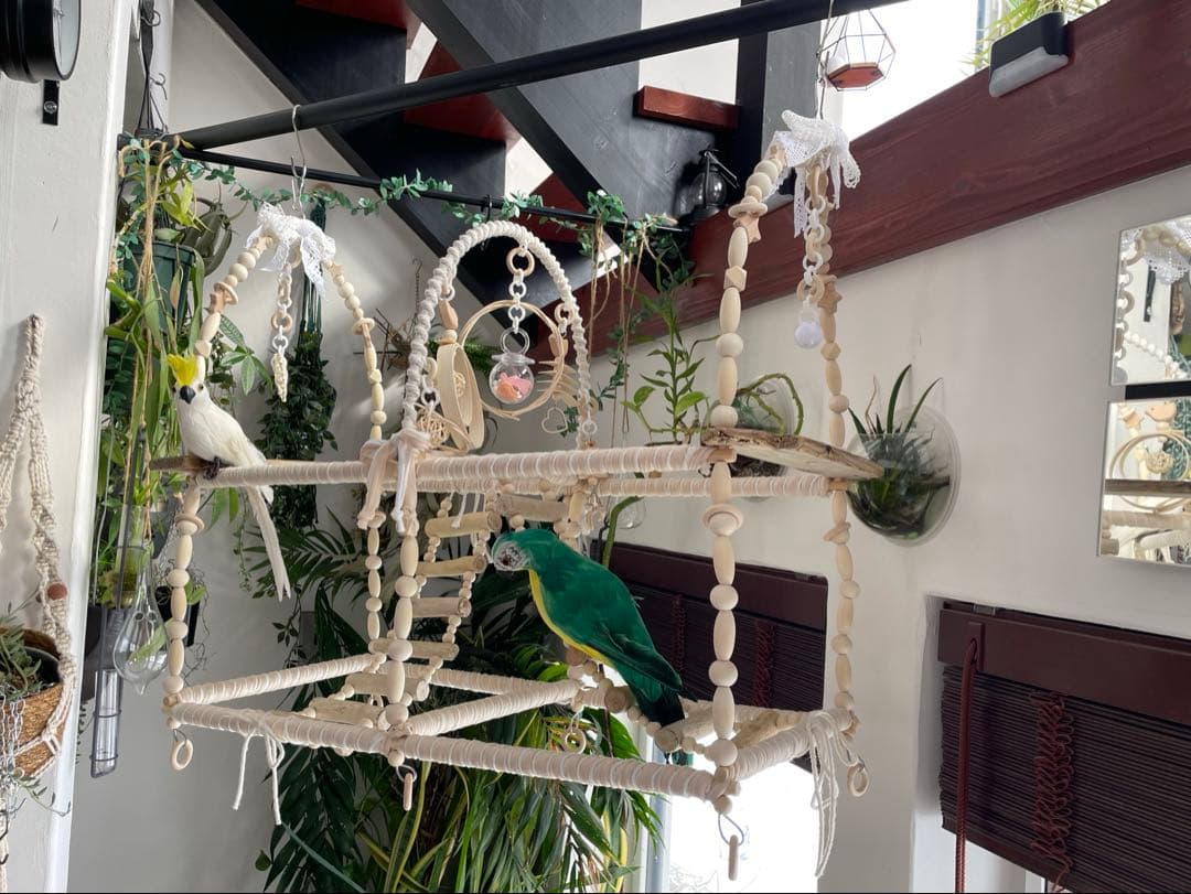 バードアスレチックバードジム　インコ流木ハシゴ　　オモチャ付き♡全長約65cm