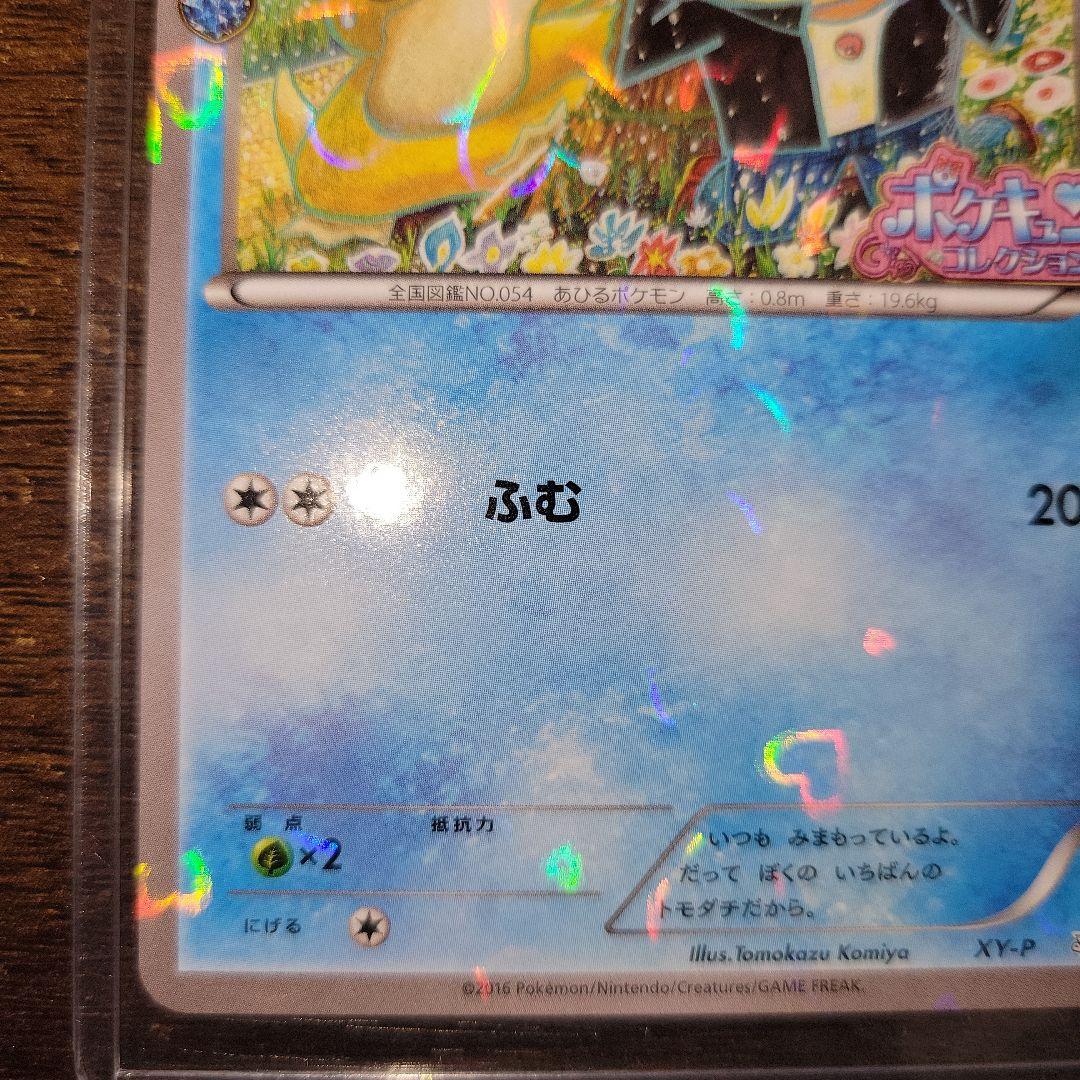 ポケモンカード コダック 増田順一 ポケキュンコレクション XY-P プロモ