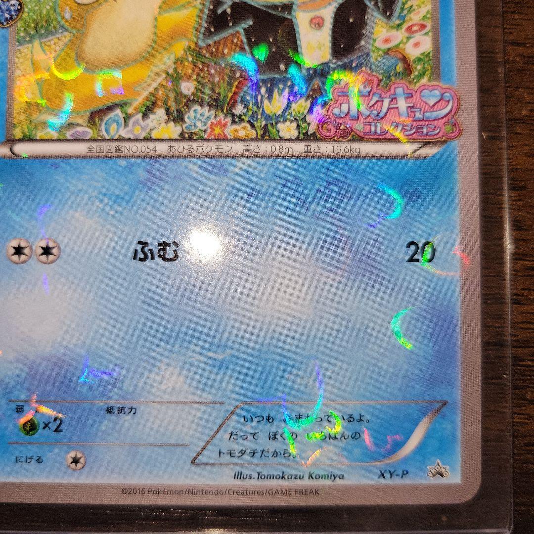 ポケモンカード コダック 増田順一 ポケキュンコレクション XY-P プロモ