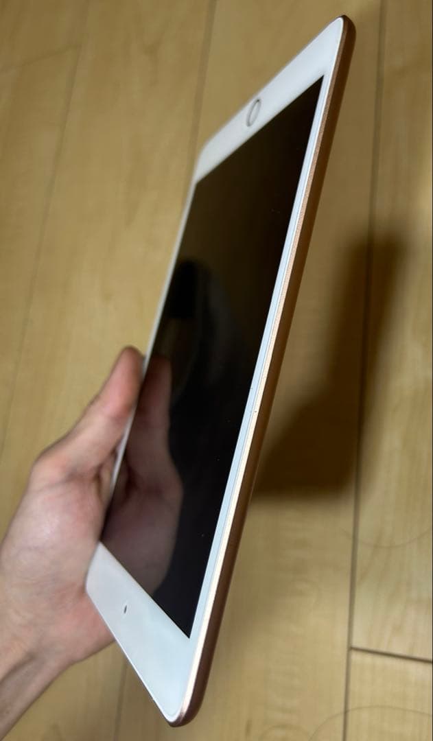 iPad mini (第5世代) 64GB Wi-Fi + Cellular