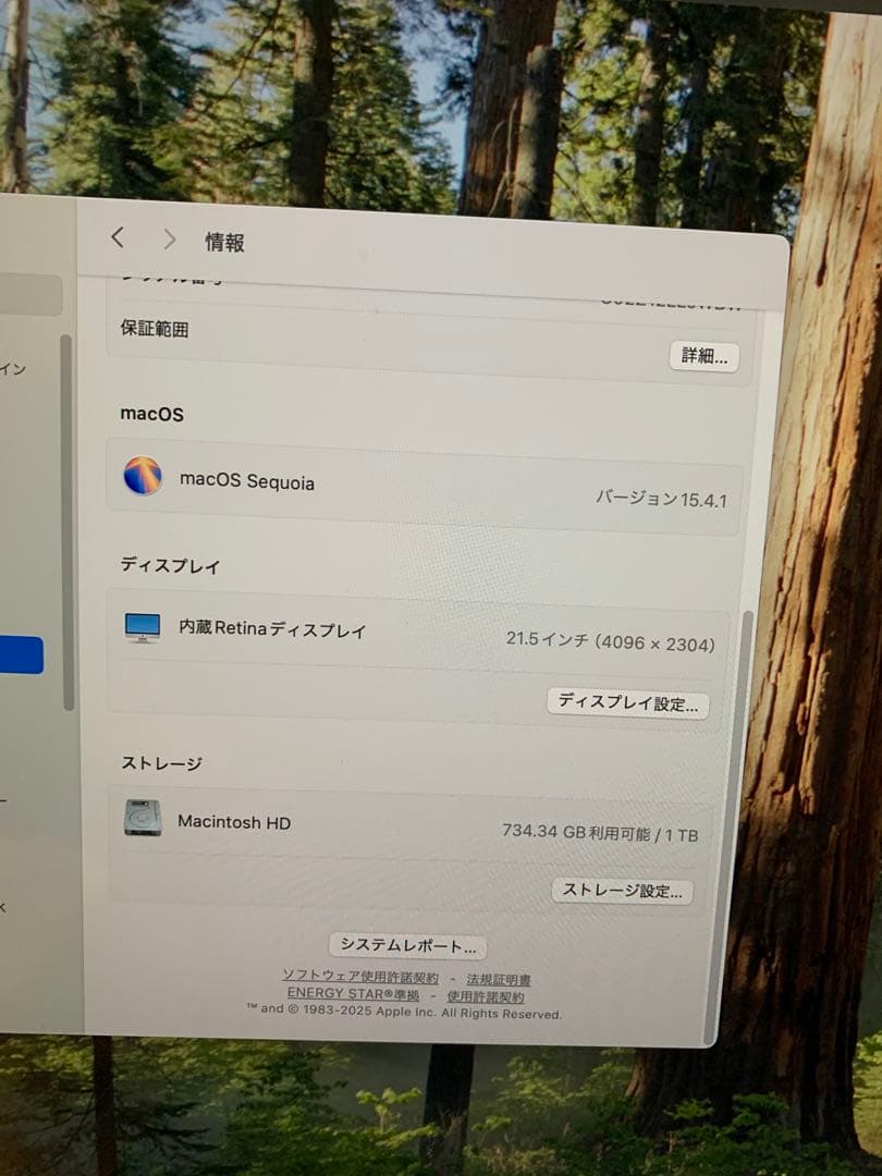iMac【Retina 4Kディスプレイ21.5インチ　2019年購入】