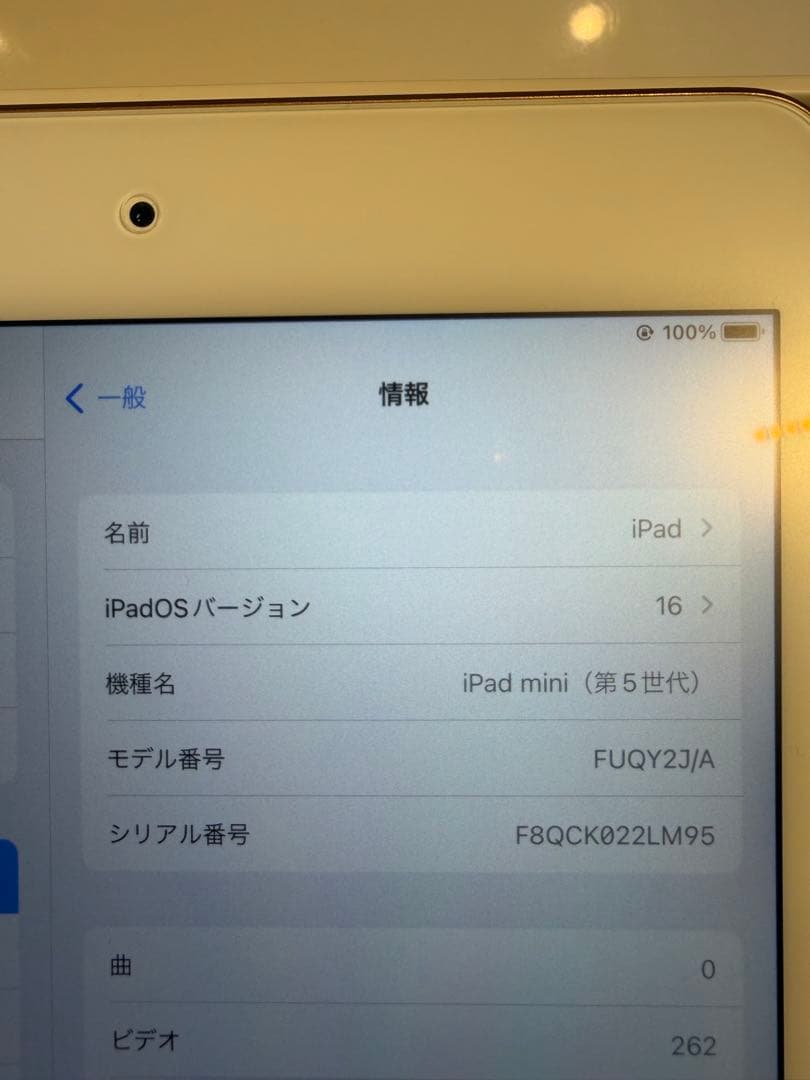 iPad本体 Apple iPad Mini 5 64GB Wi-Fi Gold