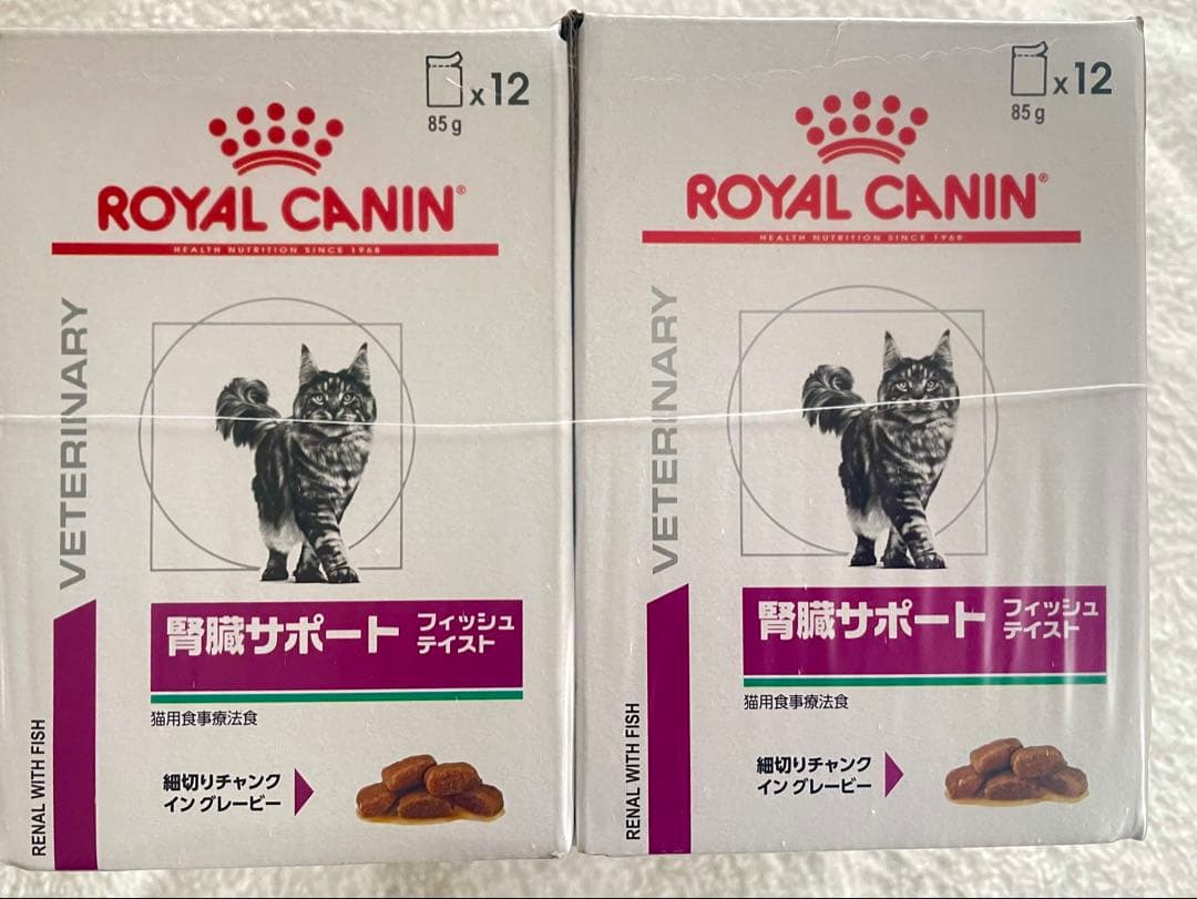  CANIN 腎臓サポート フィッシュテイスト 85g x 12
