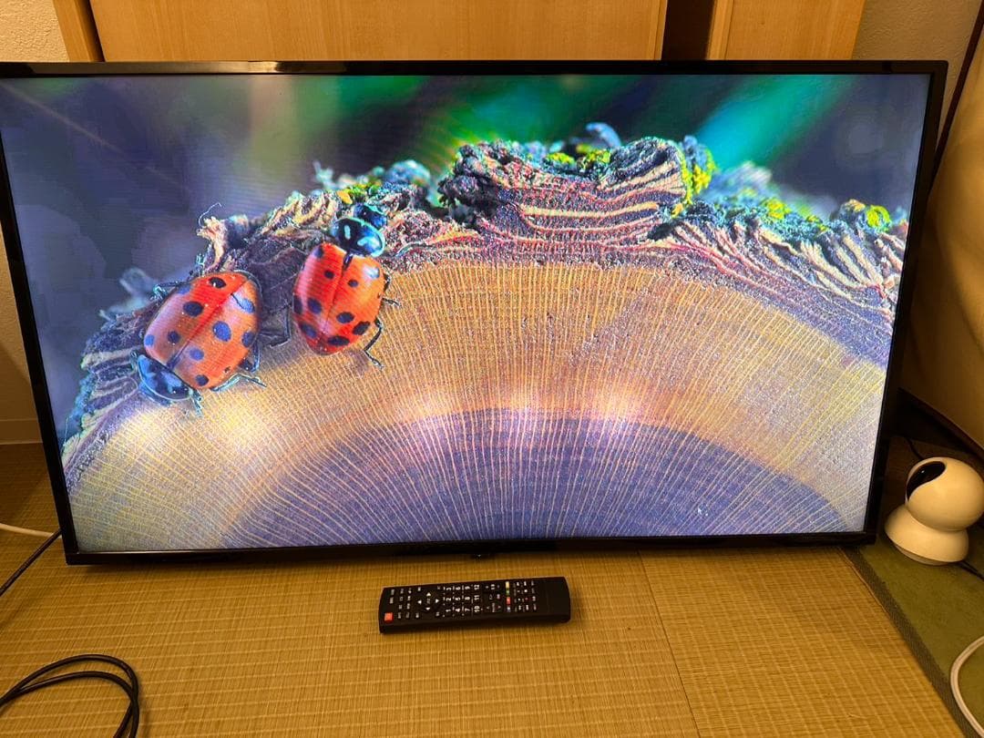 ジョワイユ 2021年製　40型 液晶テレビ SW40TVW 訳ありが視聴可能